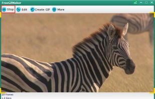 Free GIF Maker screenshot 3