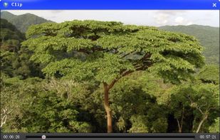 Free MXF Converter screenshot 1