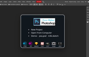 Free Online Photoshop screenshot 1