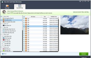 Free SD Card Data Recovery screenshot 1