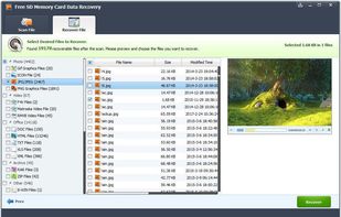 Free SD Memory Card Data Recovery screenshot 2