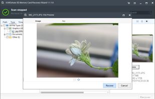 Free SD Memory Card Recovery screenshot 1