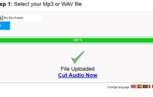 Free Simple Mp3 or WAV Audio Cutter Online screenshot 1