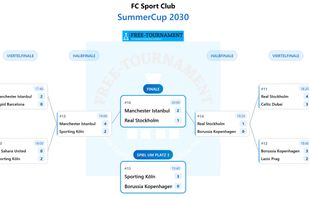 Automatically create a clear tournament bracket from your match schedule.

- Supports pure knockout formats as well as group stages with an additional knockout phase

- Automatically generates tournament brackets for 64, 32, 16, 8 or 4 teams

- Fully calculated and ready to use

- View the bracket in full screen and export it as an image