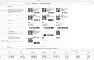 Software bulk upload with preview