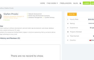 Freelancer Clone By Logicspice screenshot 2