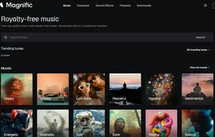 Magnific Tunes screenshot 1