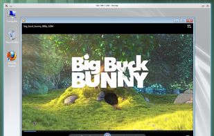 FreeRDP screenshot 2