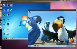 FreeRDP screenshot 1