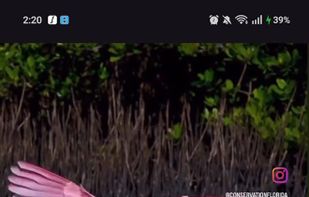 Freeze Ink screenshot 1