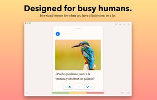 Fresh Cards - Flashcards screenshot 1