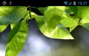 Fresh Leaves screenshot 1