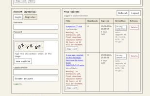 Account file viewing