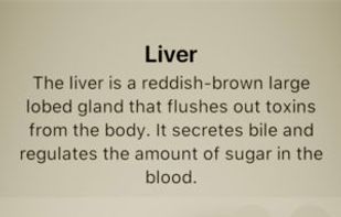 Froggipedia screenshot 1