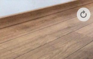 Froggipedia screenshot 1