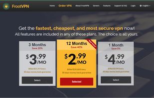 FrootVPN screenshot 2