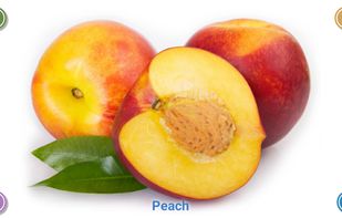 Fruits and Veggies for Kids screenshot 3