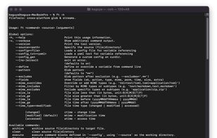 Running `ft help` will display an overview of all global options and available subcommands.