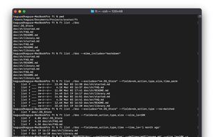 the example output for the `list` subcommand, fully demonstrating how to combine global parameters for file matching and filtering.