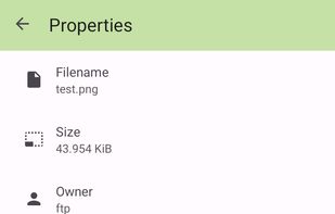 FTPClient screenshot 3