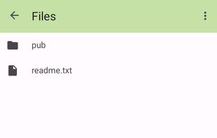 FTPClient screenshot 2