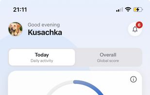 Fudini screenshot 3