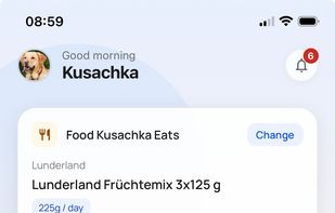 Fudini screenshot 2