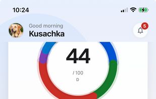 Fudini screenshot 1
