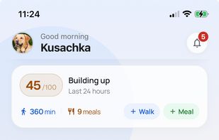 Fudini screenshot 1