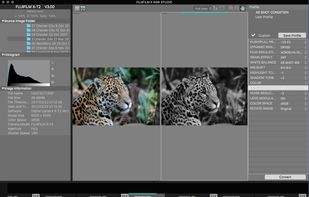 FUJIFILM X RAW STUDIO screenshot 2