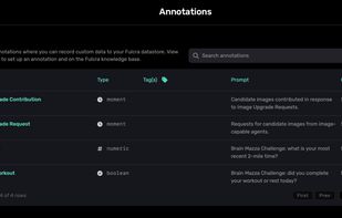 Custom fields for annotations with Fulcra's app based entry