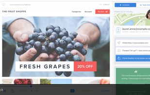 FullStory screenshot 3