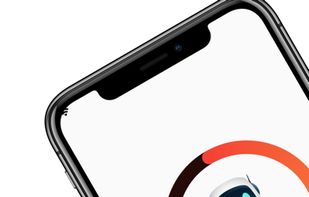 Fully Fluent screenshot 1