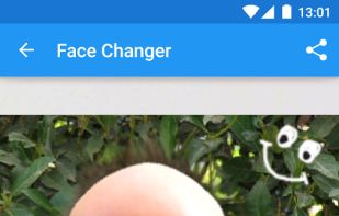 Fun Face Changer screenshot 2