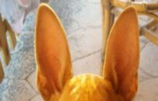 Fun Photo Editor screenshot 1