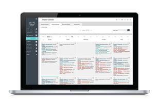 Schedule project milestones, meetings and actions in an easy to manage calendar view.