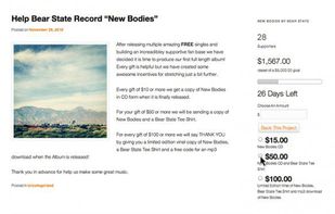 Fundraising for WordPress screenshot 1