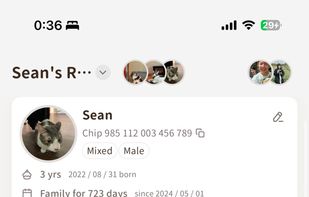 Daily dashboard. Log feeding, water and meds in seconds, separately for each cat in the family.