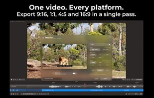 Export burned-in media to every platform at once.