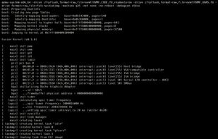 Fusion OS screenshot 2