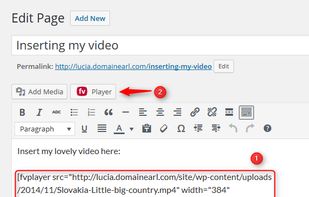 FV Player screenshot 3
