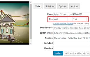 FV Player screenshot 1