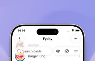 Fydlty screenshot 1