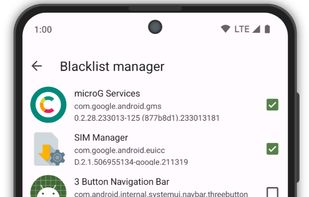Aurora Store screenshot 2