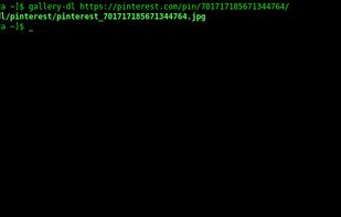 Gallery-DL screenshot 2
