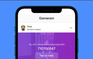 Gameram screenshot 1