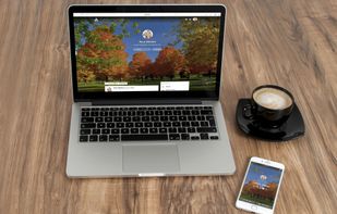 Gaption Profiles - A personal, customizable page to build your following and reach them effectively.