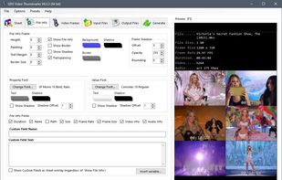 GDS Video Thumbnailer screenshot 1