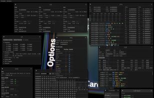 Gecko Emulator screenshot 2