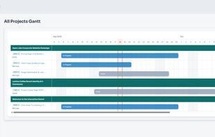 Gantt chart view for tracking project timelines, milestones, and progress visually across teams.